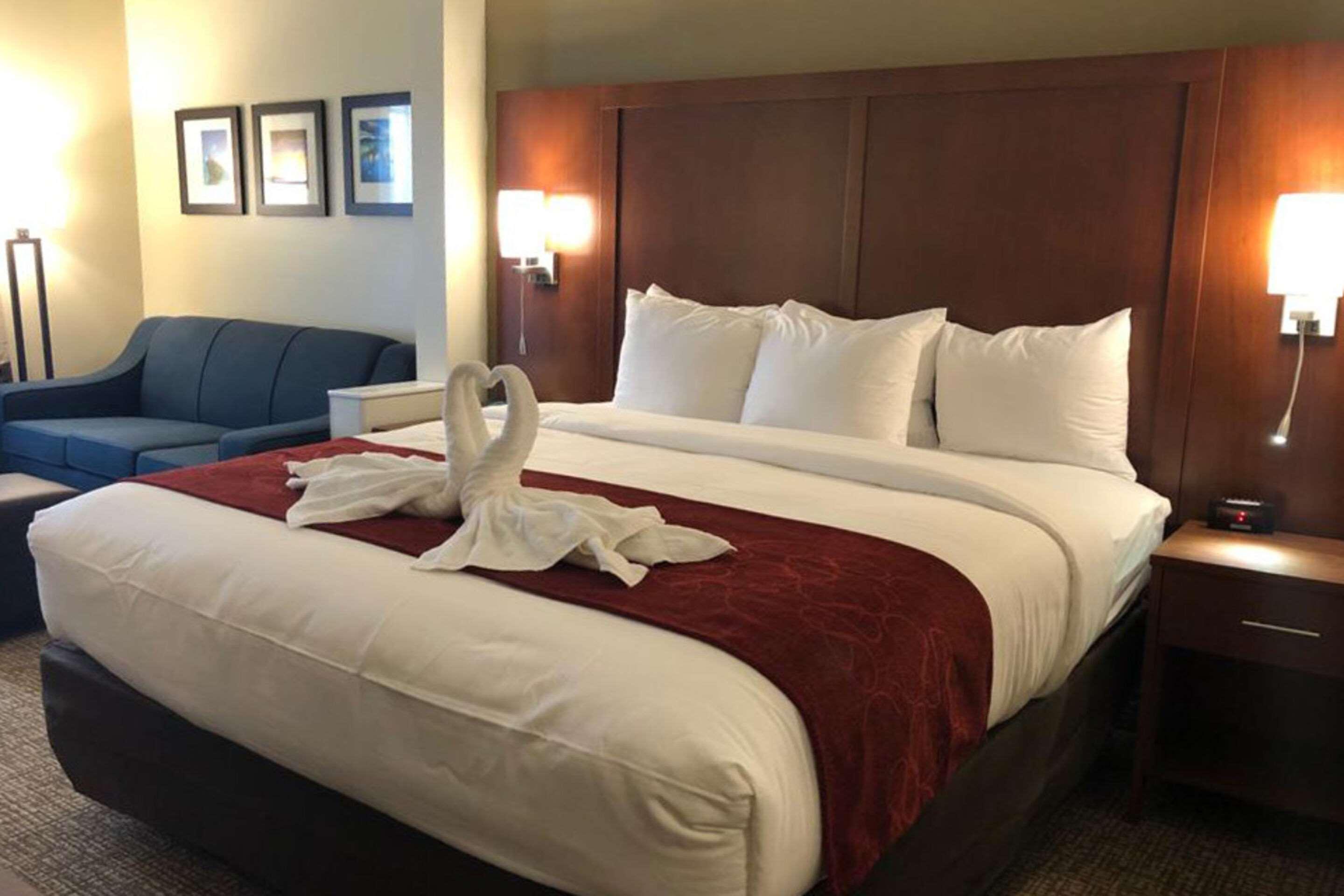 Comfort Suites Near Camp Lejeune Jacksonville Kültér fotó